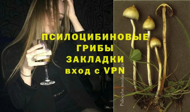 закладки  это состав  Псилоцибиновые грибы Psilocybe  Вичуга  omg маркетплейс 